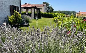 Villa Luka